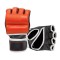 MMA Gloves