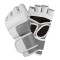 MMA Gloves