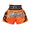 MMA Shorts